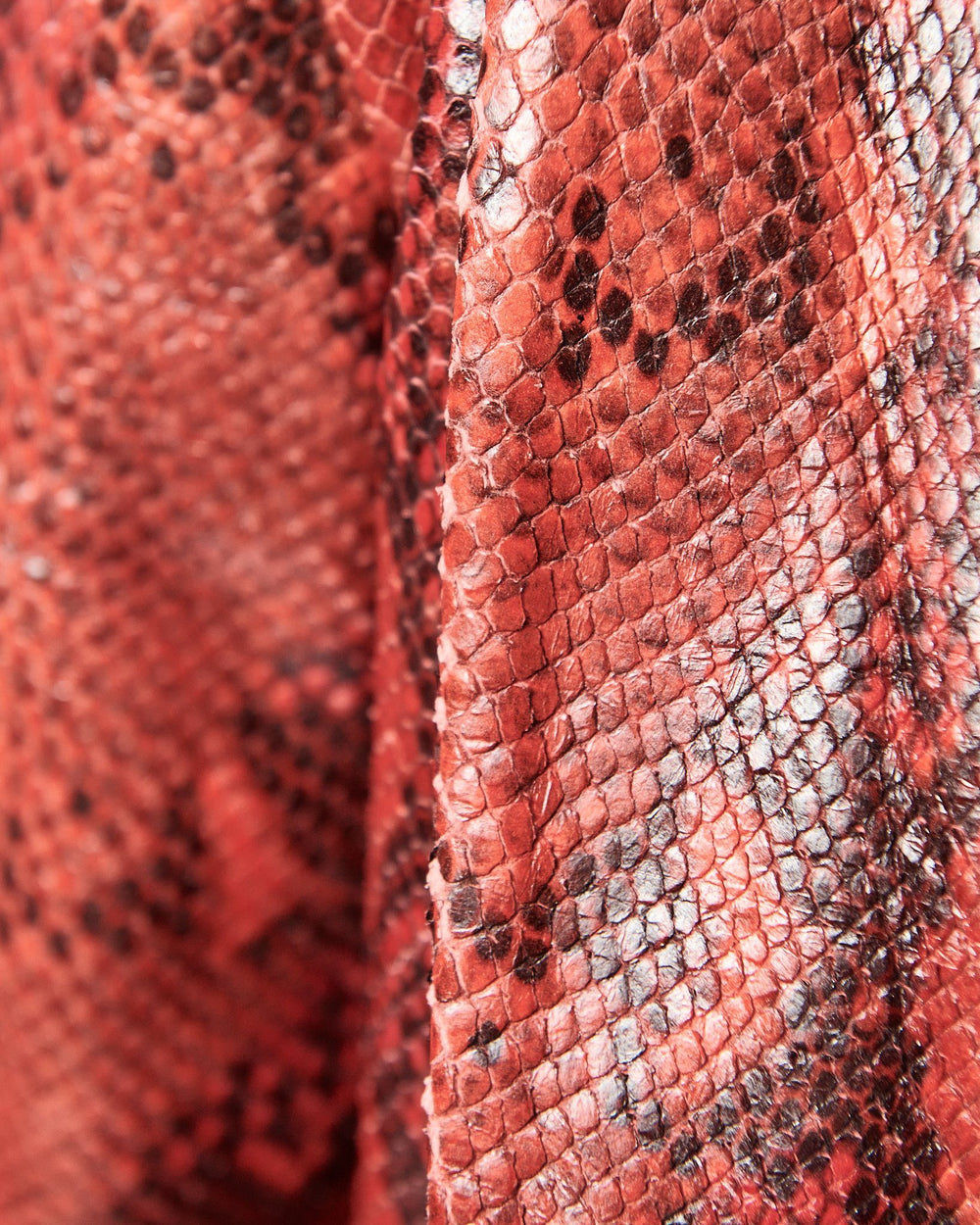 MODERN VICE SNAKESKIN BLAZER JACKET